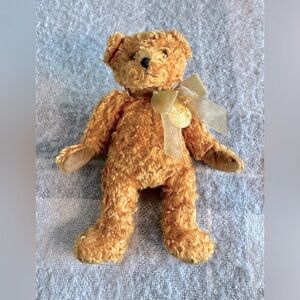2002 TY Beanie Babies TEDDY Celebrating 100 Year of Teddy NWOT